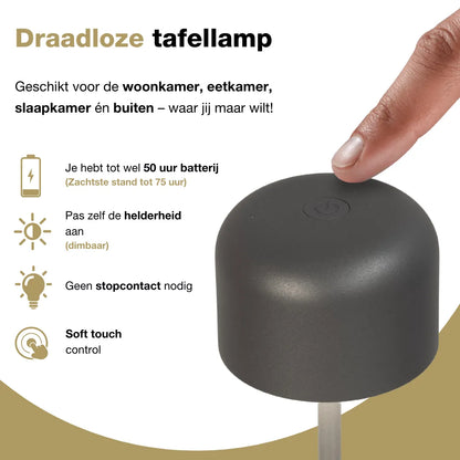 Finley - Tafellamp oplaadbaar - Draadloos en dimbaar - Nikkel
